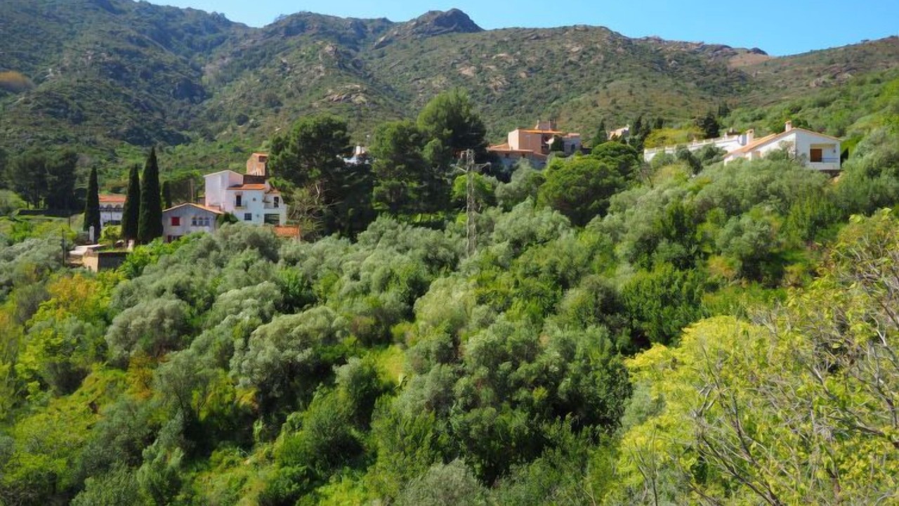 Photo of Others in La Vall de Santa Creu