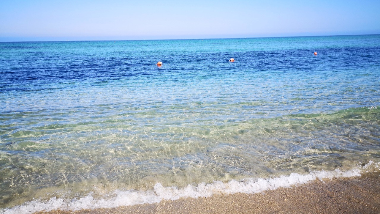 Photo of Others in Marsala