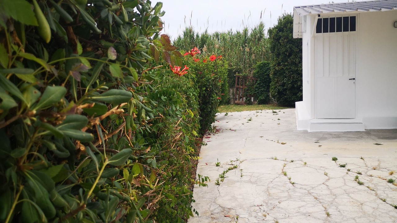 Photo of Outdoor in Marsala