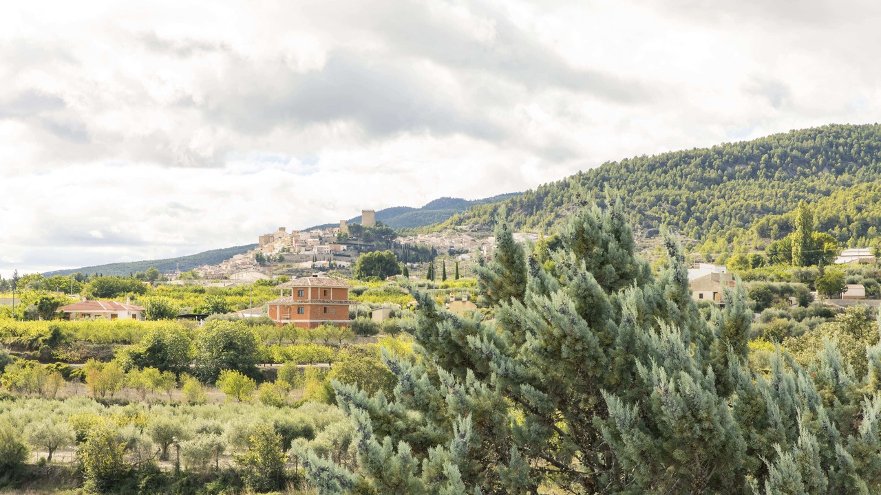 Photo of Others in Moratalla