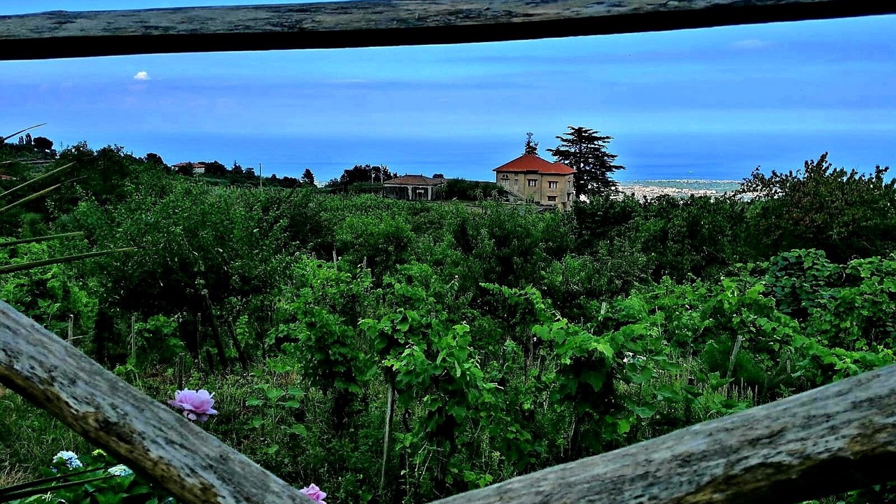 Photo of Others in Fornazzo
