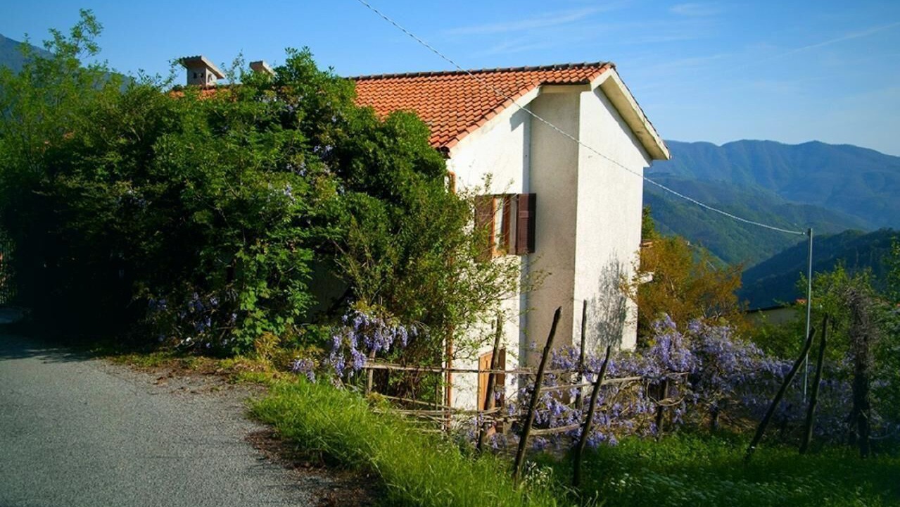 Photo of Others in Borzonasca