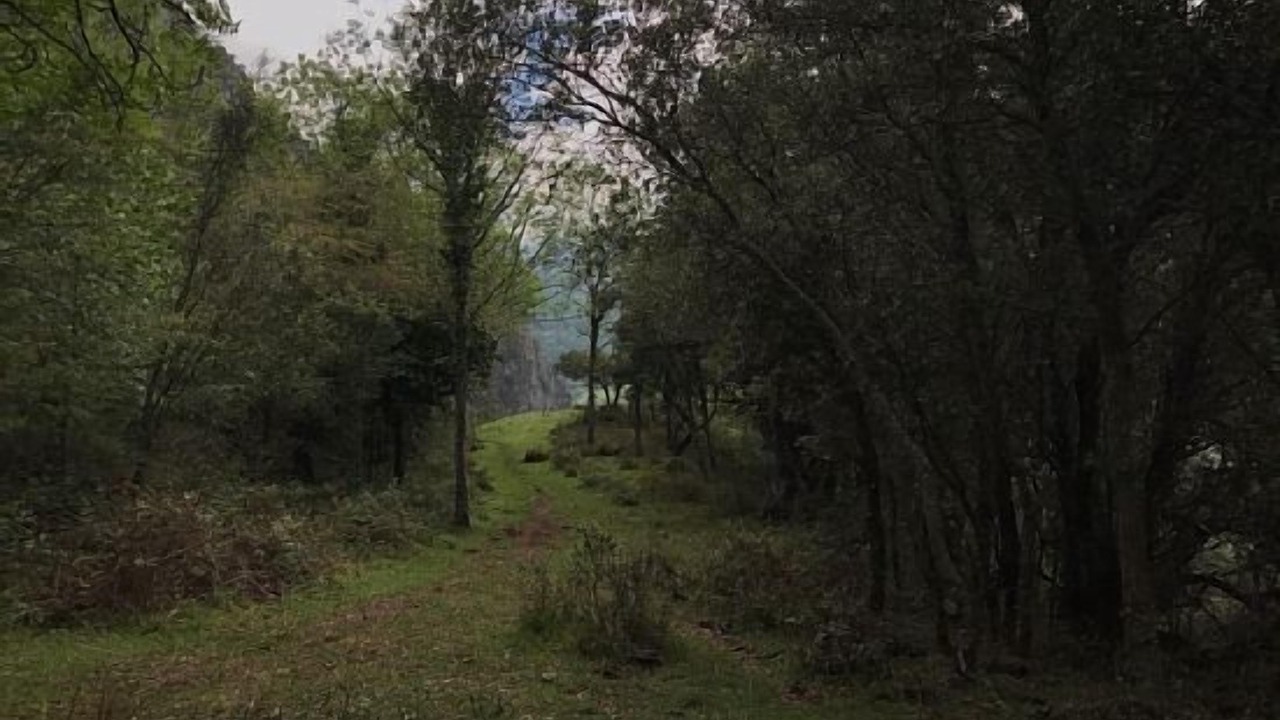 Photo of Outdoor in Tanarrio