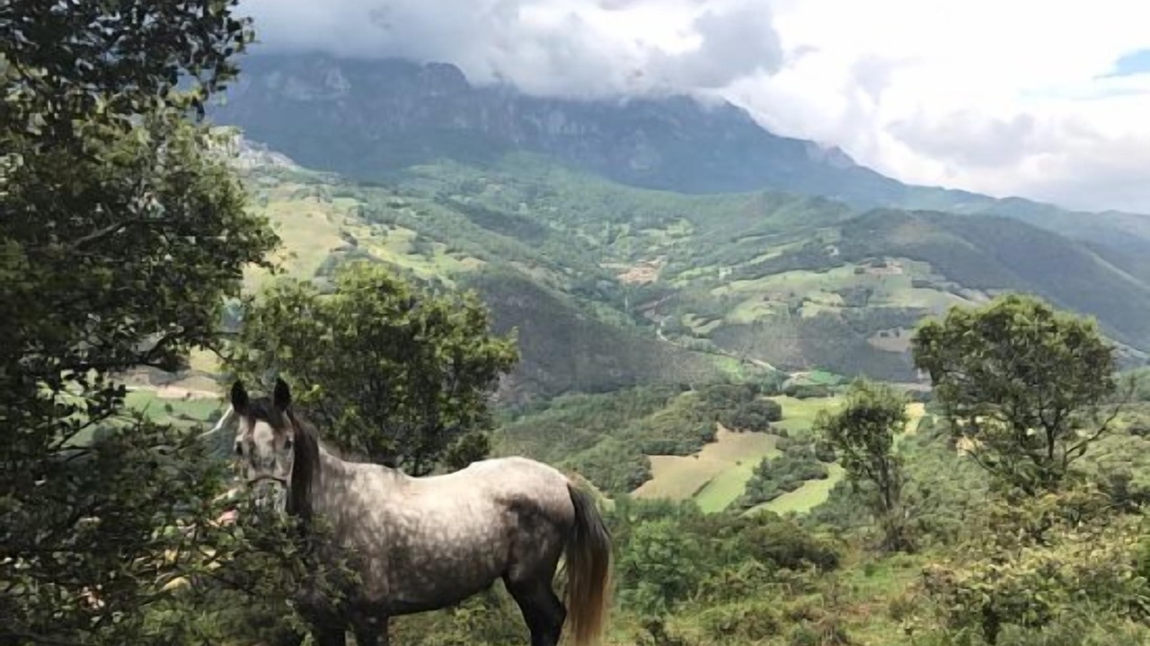 Photo of Outdoor in Tanarrio