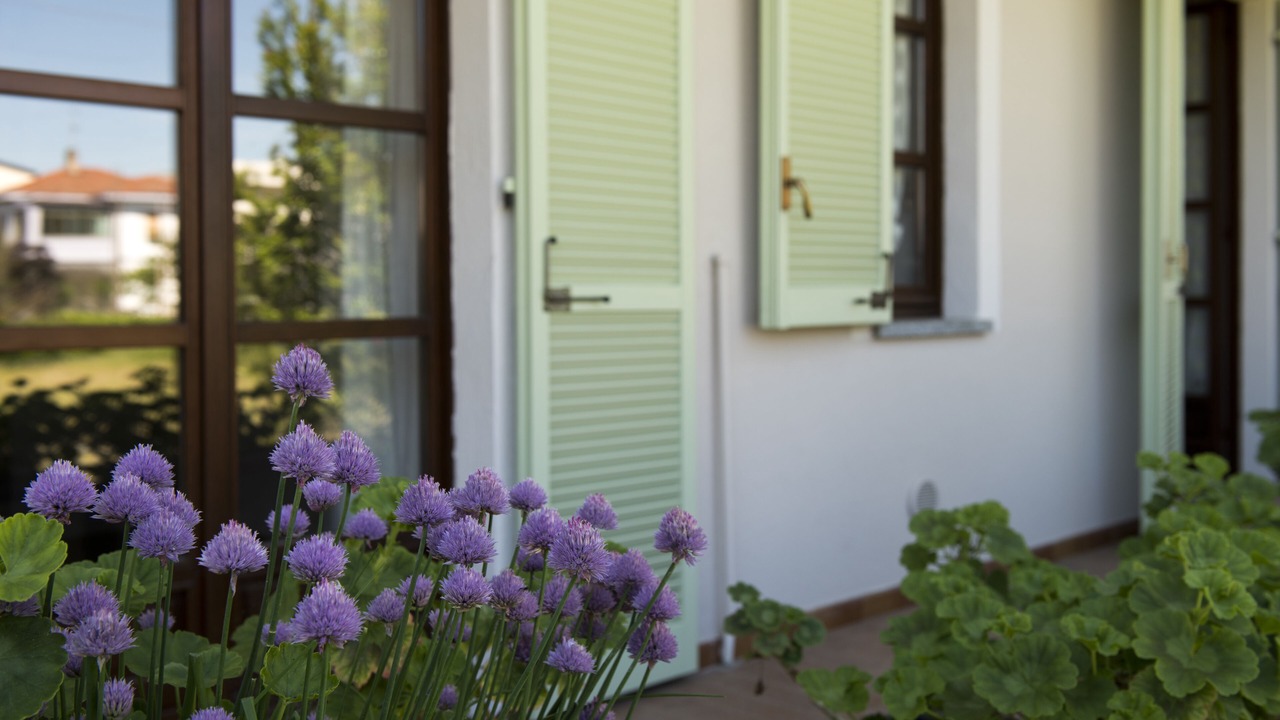 Photo of Outdoor in Alba