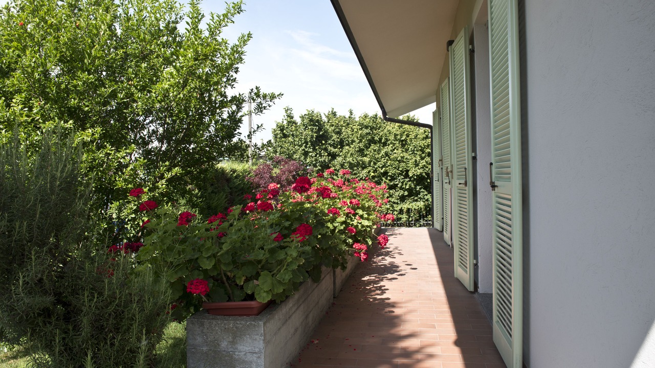 Photo of Outdoor in Alba