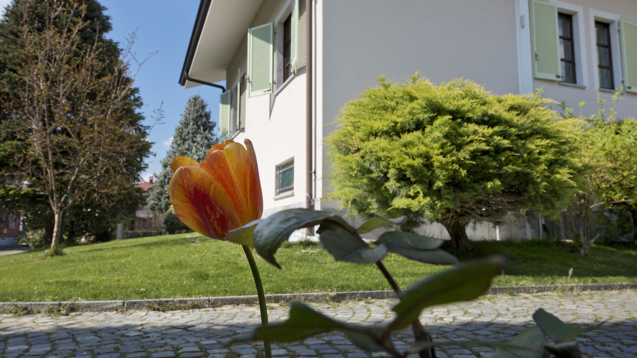 Photo of Outdoor in Alba