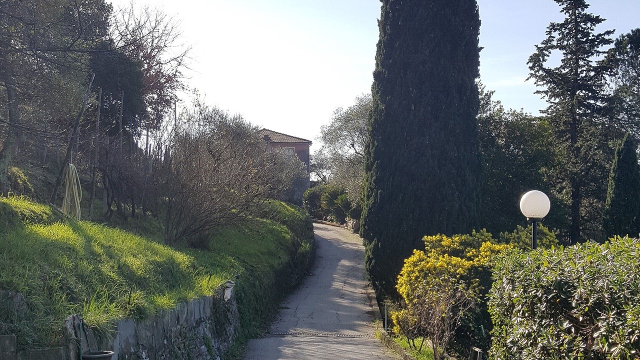 Photo of Outdoor in Leivi