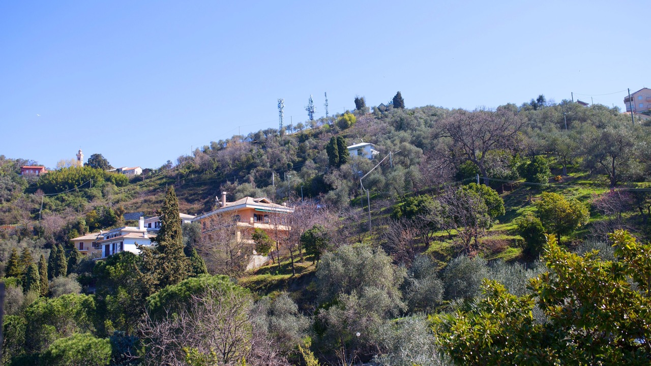 Photo of Outdoor in Leivi