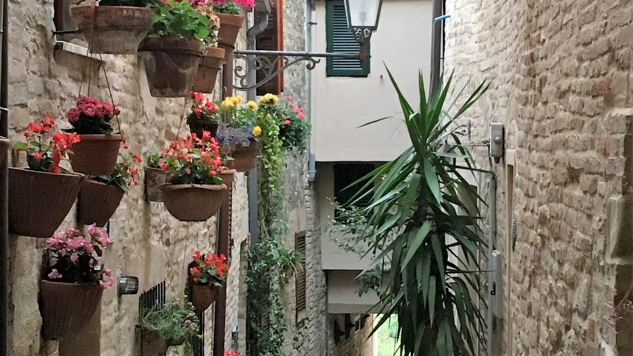 Photo of Outdoor in Torre di Palme
