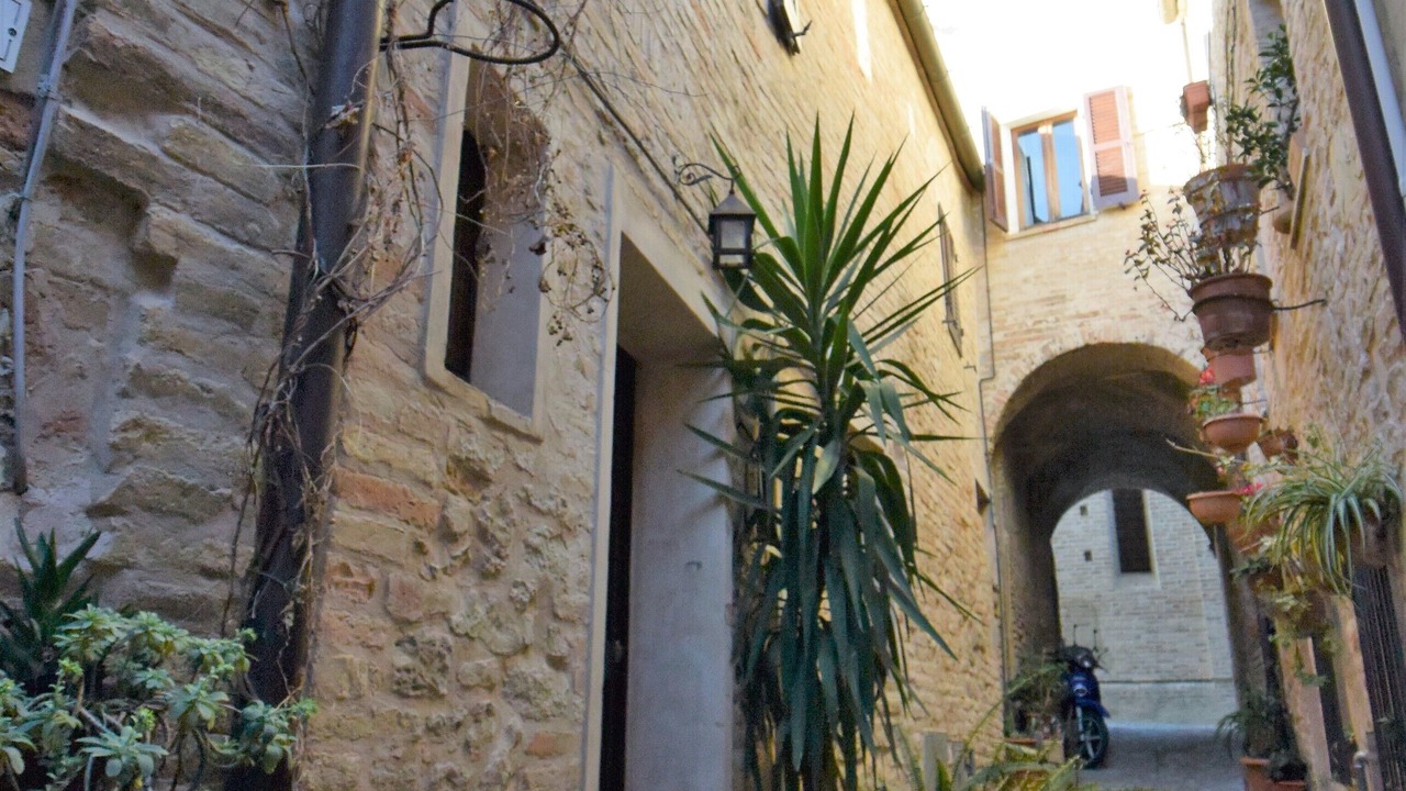 Photo of Outdoor in Torre di Palme