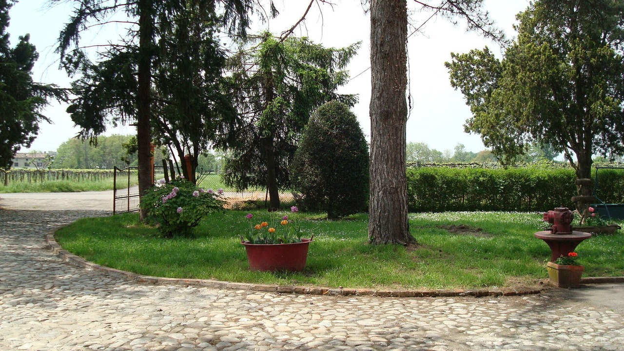 Photo of Outdoor in Reggio nell'Emilia