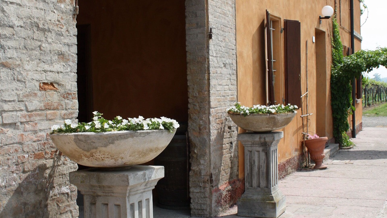 Photo of Outdoor in Reggio nell'Emilia