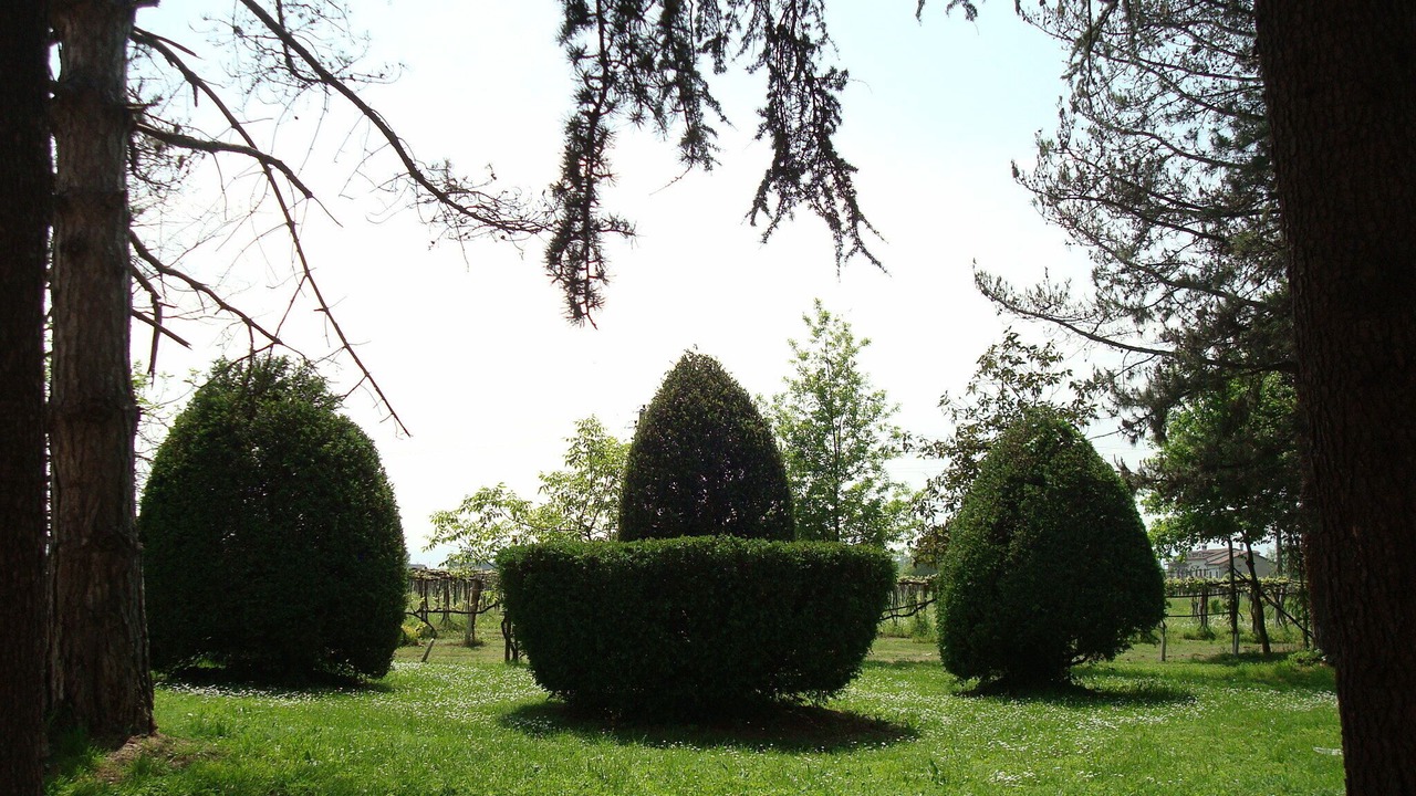 Photo of Outdoor in Reggio nell'Emilia