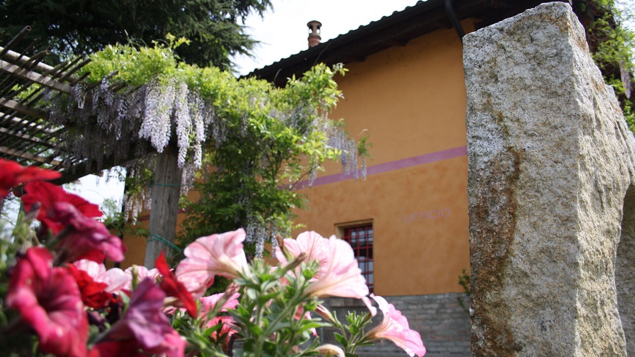 Photo of Outdoor in Reggio nell'Emilia