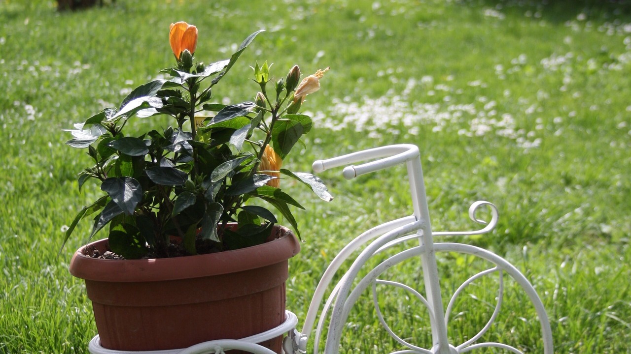 Photo of Outdoor in Reggio nell'Emilia