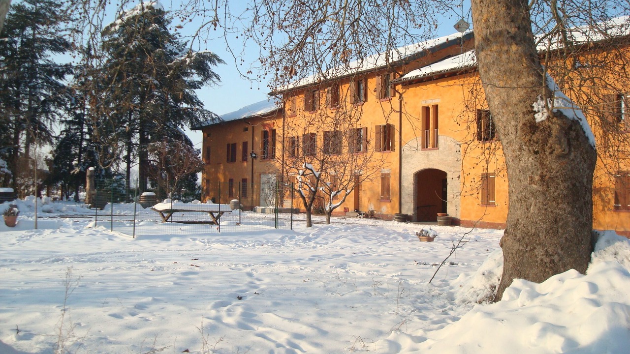 Photo of Others in Reggio nell'Emilia