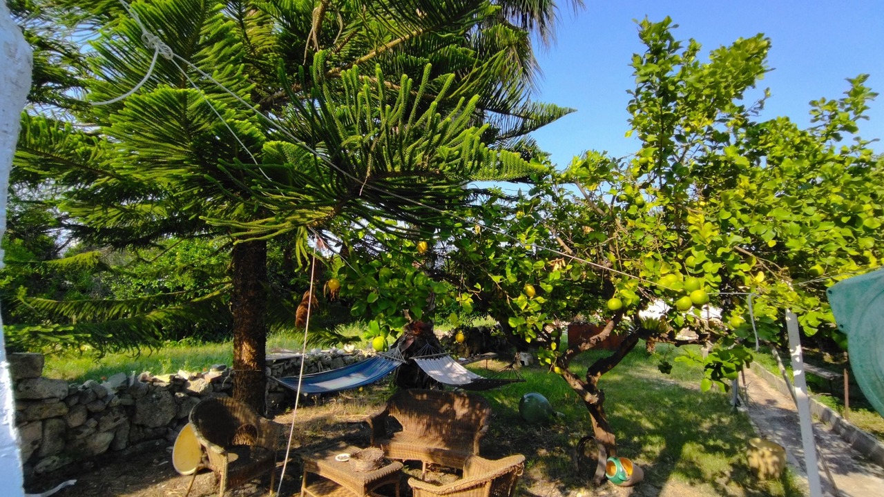 Photo of Outdoor in Minervino di Lecce