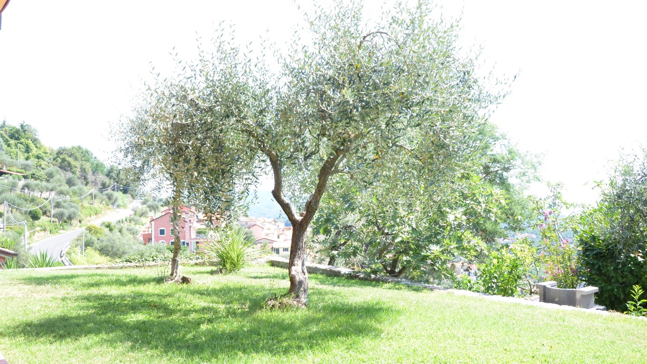 Photo of Outdoor in La Spezia