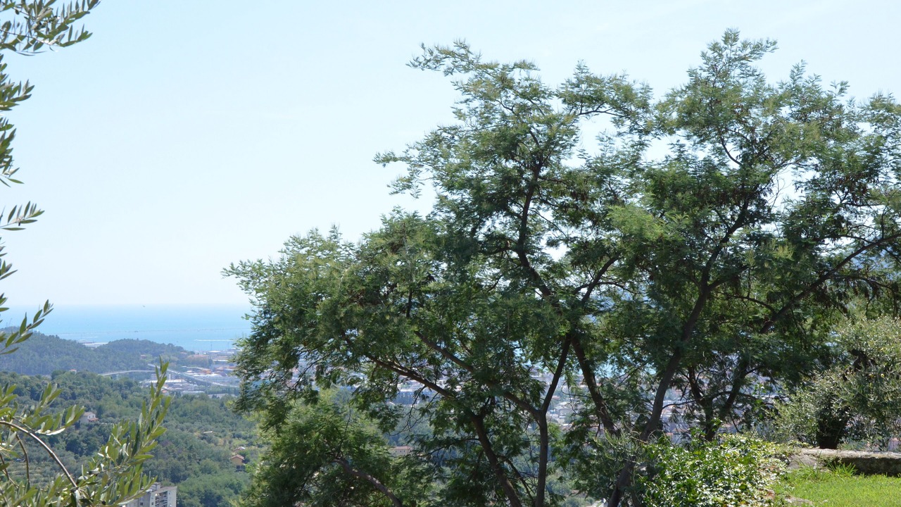 Photo of Outdoor in La Spezia