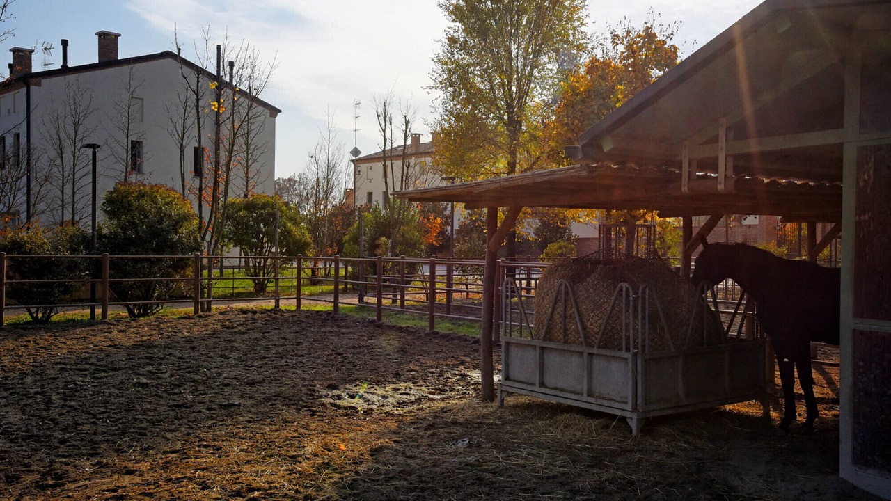 Photo of Outdoor in Rovigo
