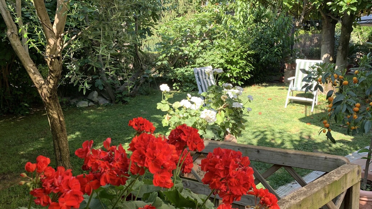 Photo of Outdoor in Ravenna