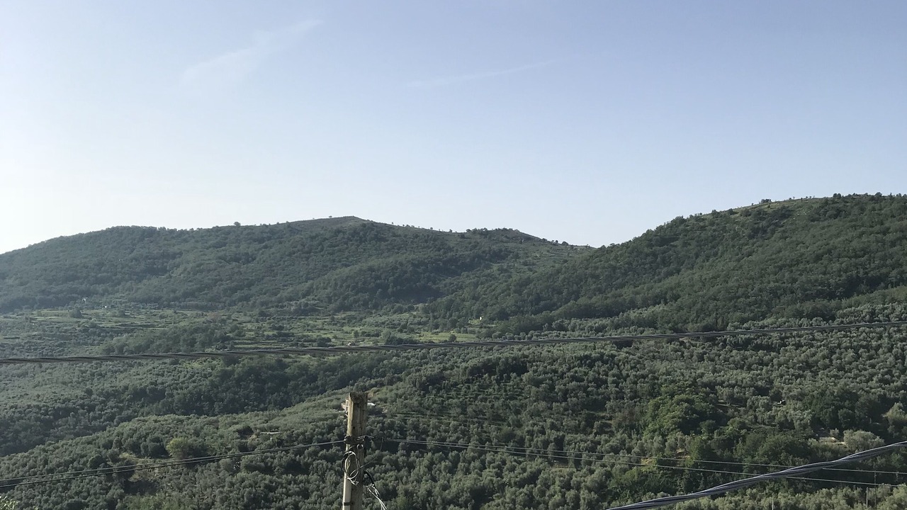 Photo of Outdoor in Villa Viani
