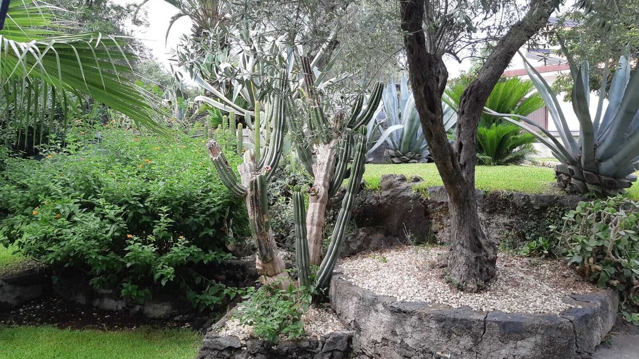 Photo of Outdoor in San Giovanni la Punta