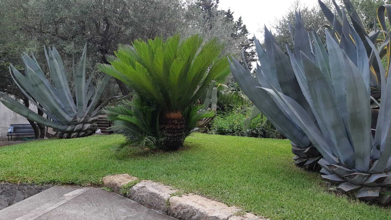 Photo of Outdoor in San Giovanni la Punta