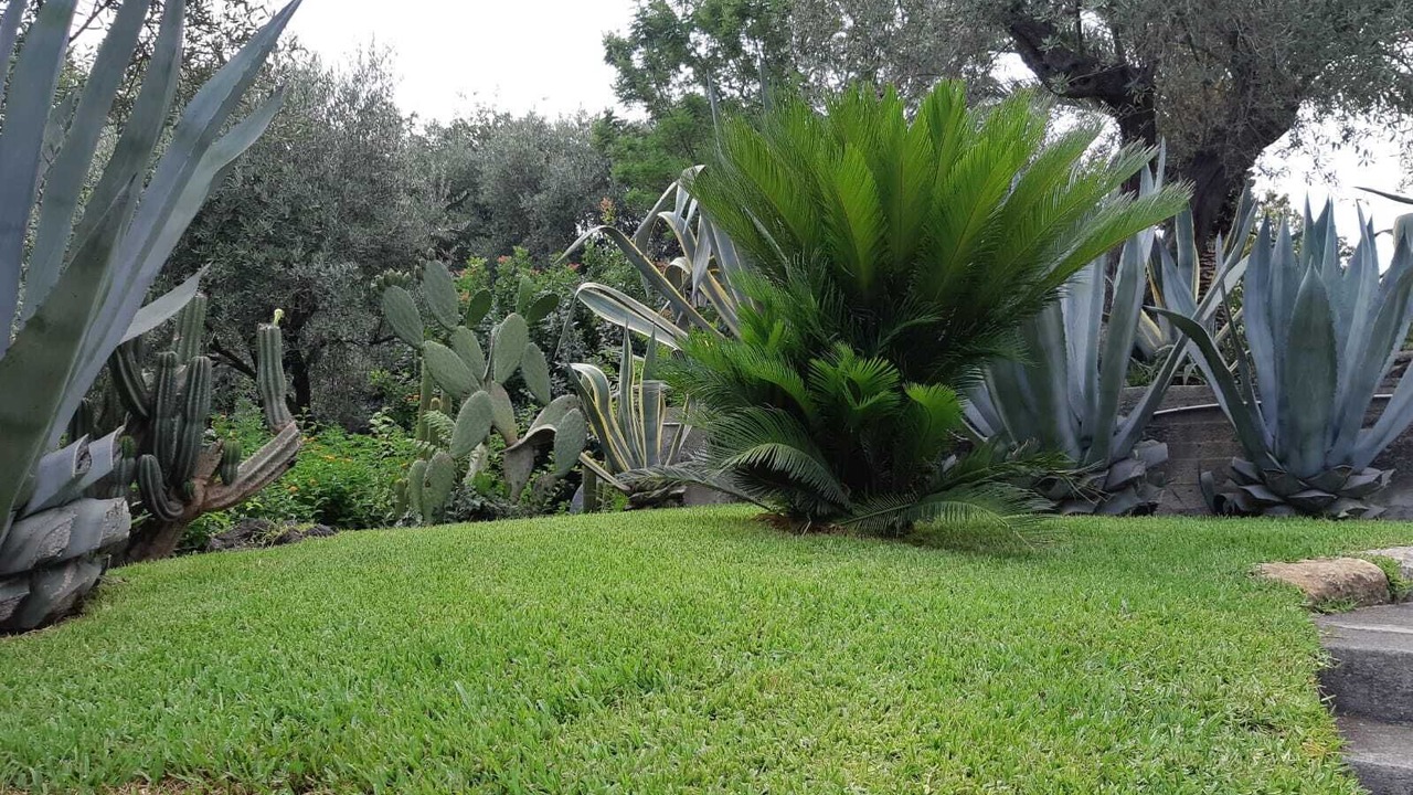 Photo of Outdoor in San Giovanni la Punta