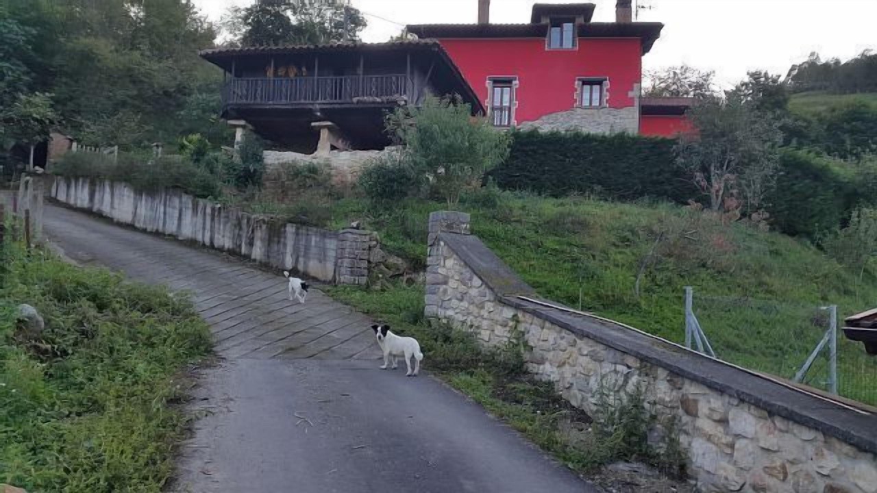 Photo of Outdoor in Santianes de Ola
