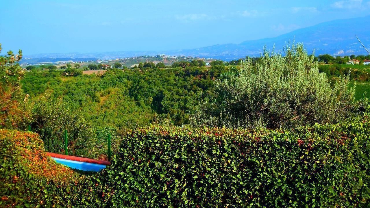Photo of Outdoor in Catignano