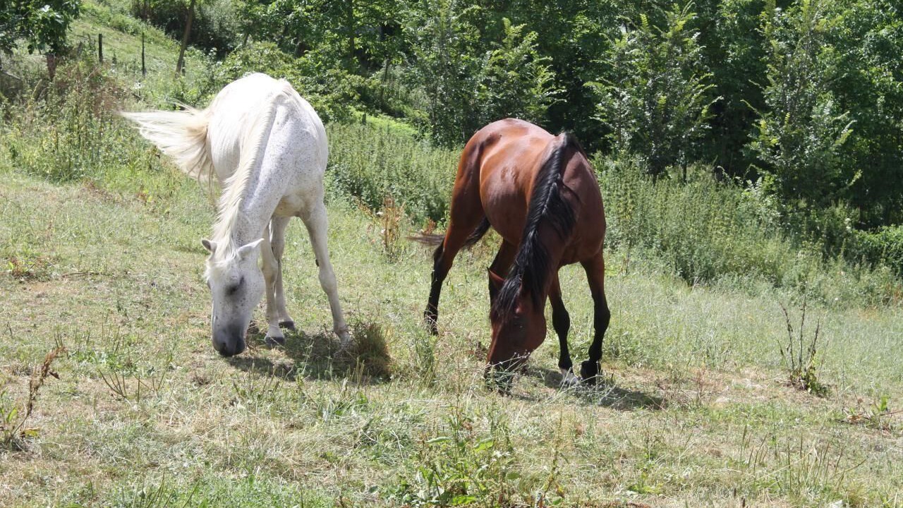 Photo of Outdoor in Poggio San Giovanni