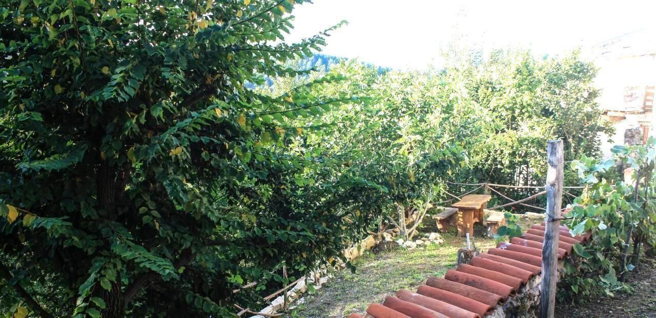 Photo of Outdoor in Poggio San Giovanni