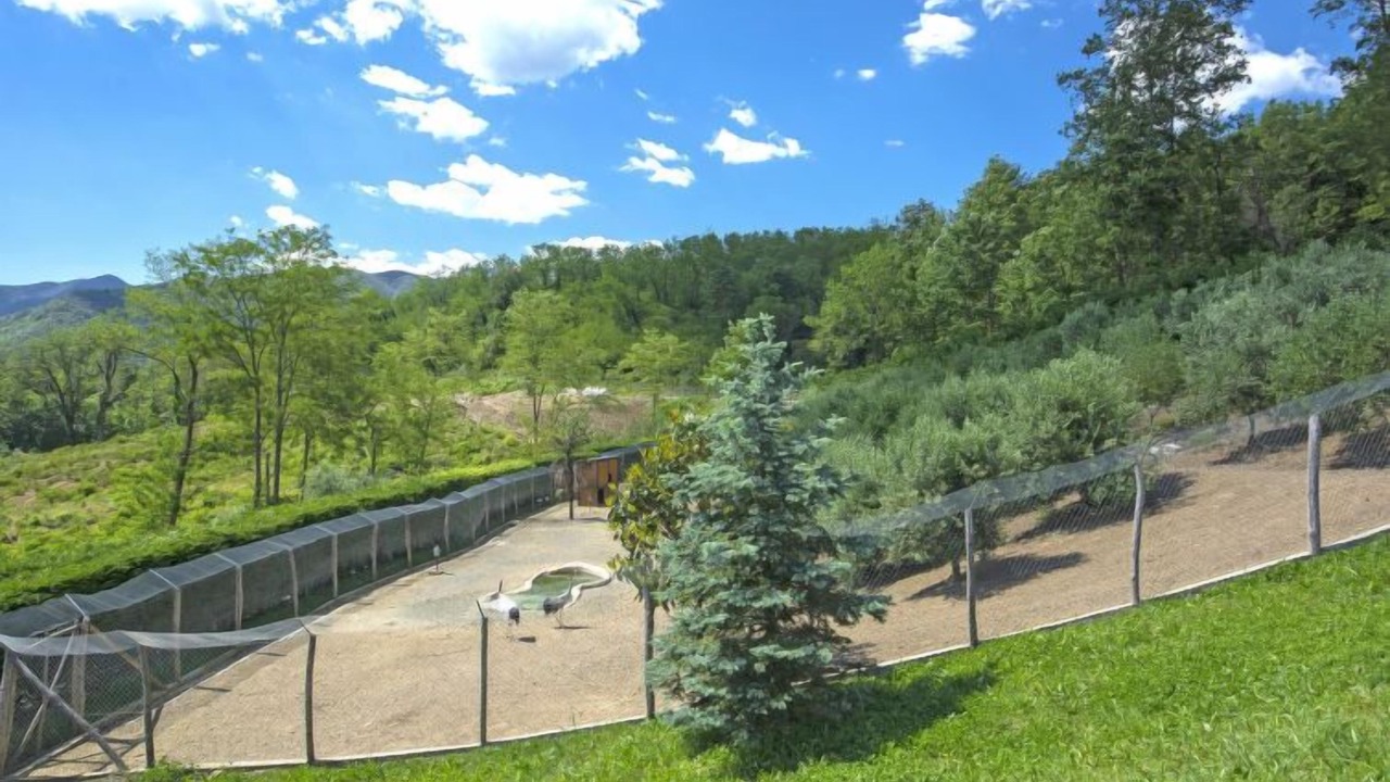Photo of Others in Tresana