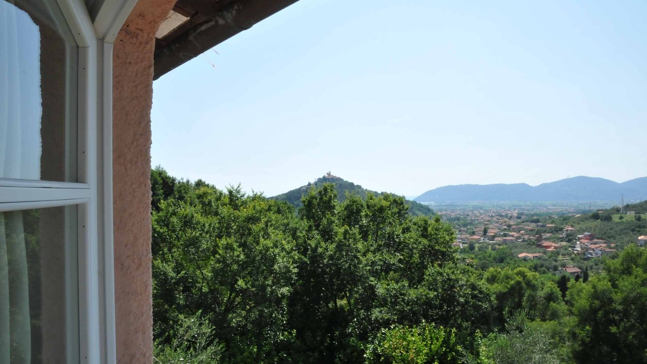 Photo of Others in Ortonovo