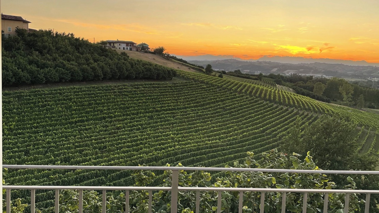 Photo of Outdoor in Castagnole delle Lanze