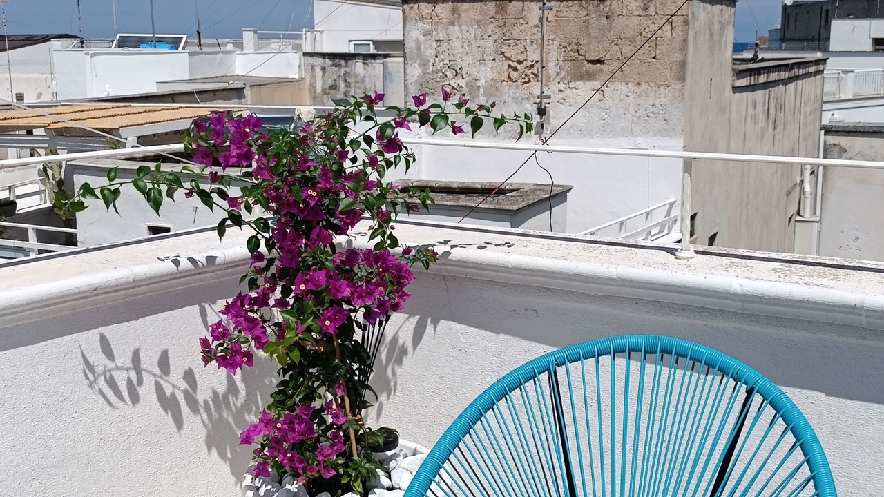 Photo of Outdoor in Centro Storico
