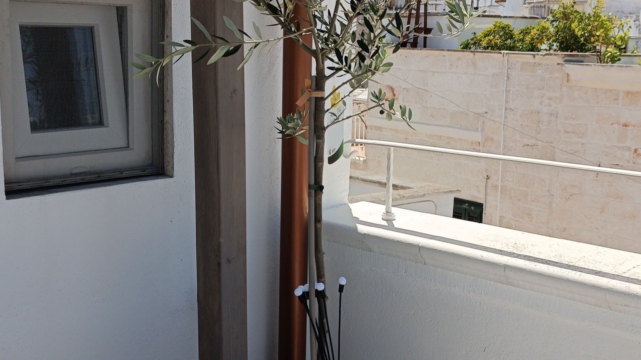 Photo of Outdoor in Centro Storico