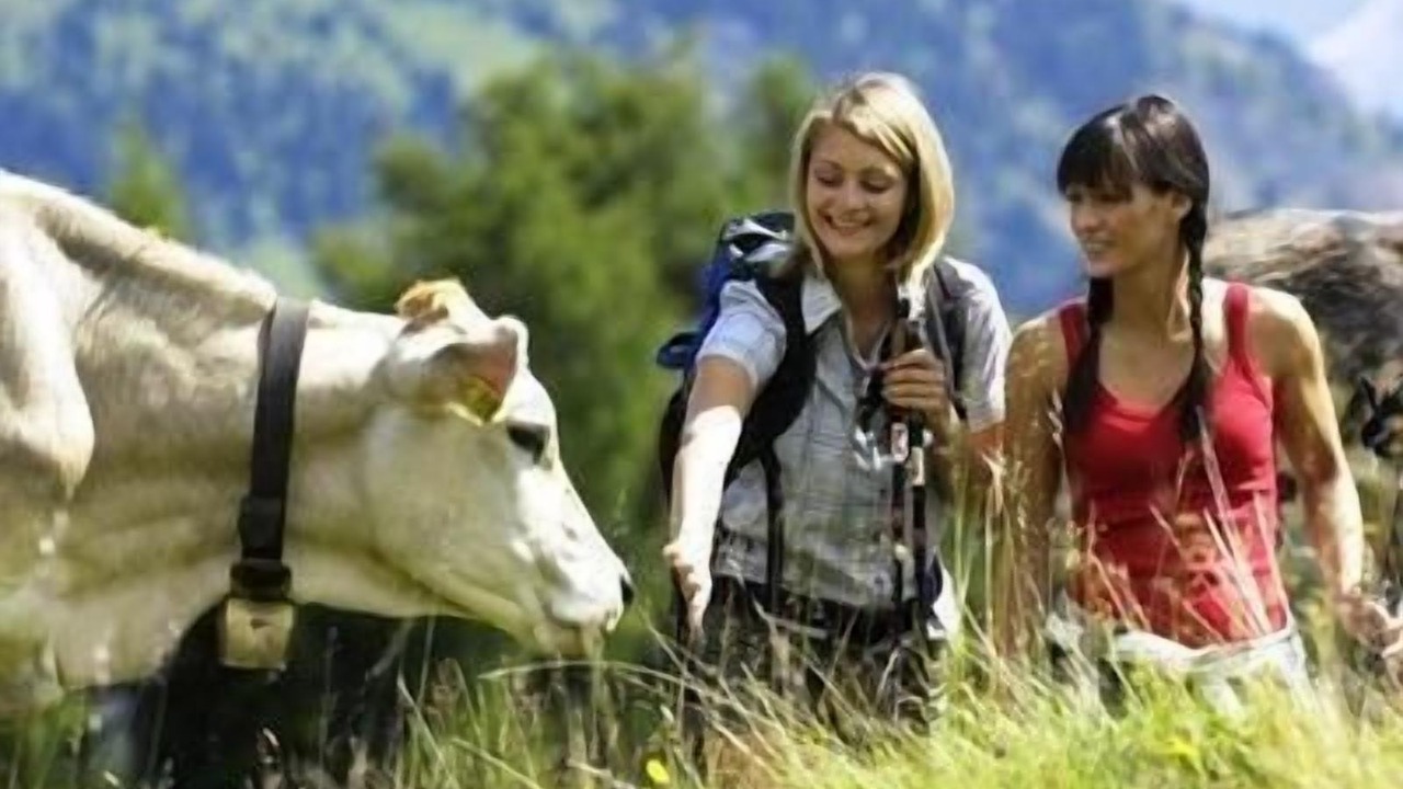 Photo of Others in Bulla