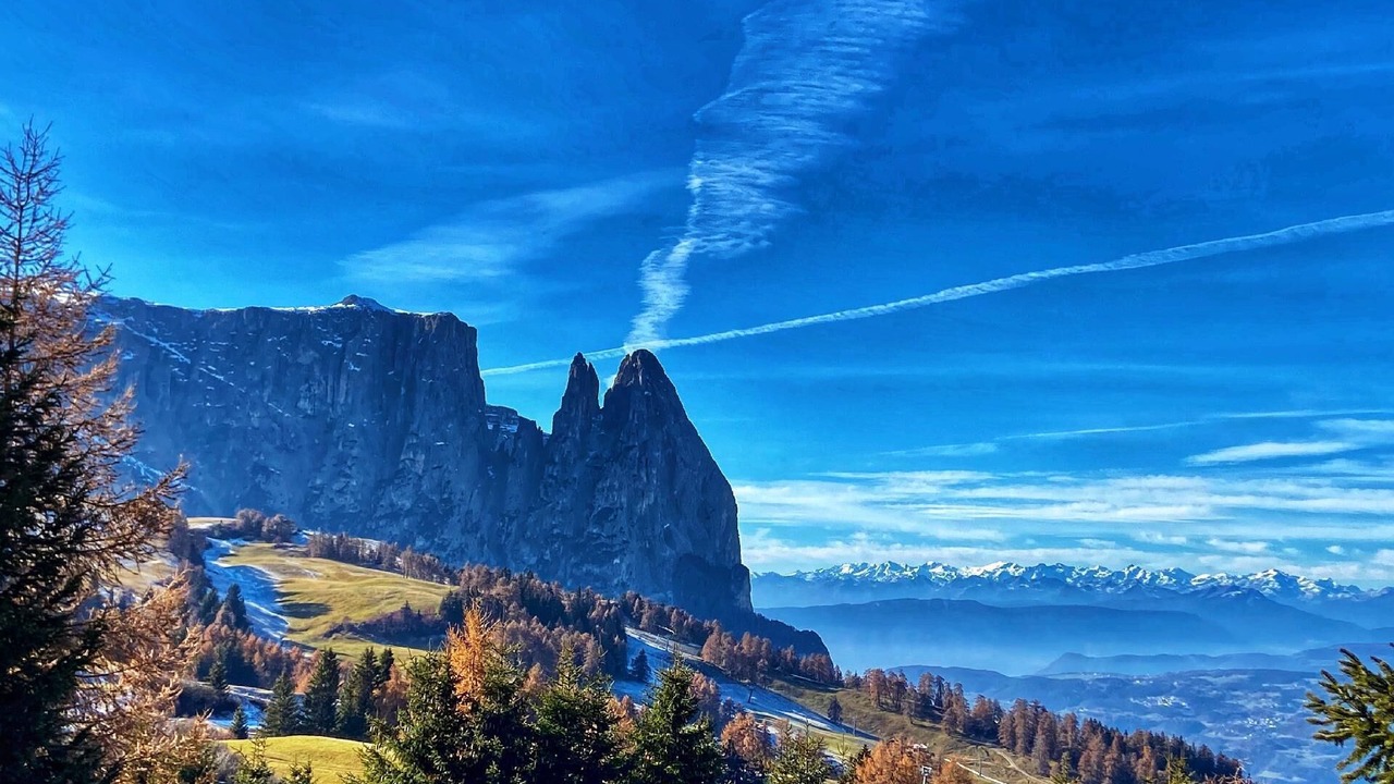 Photo of Outdoor in Bulla