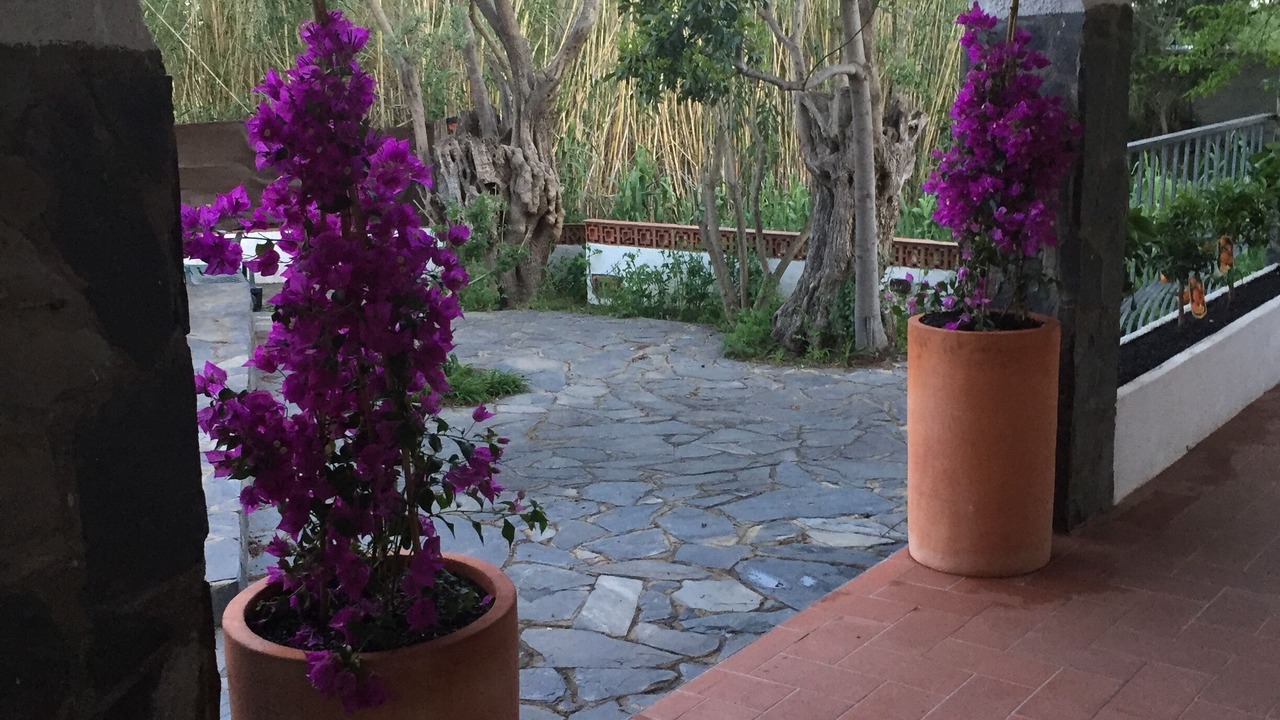 Photo of Outdoor in El Mas Bosca