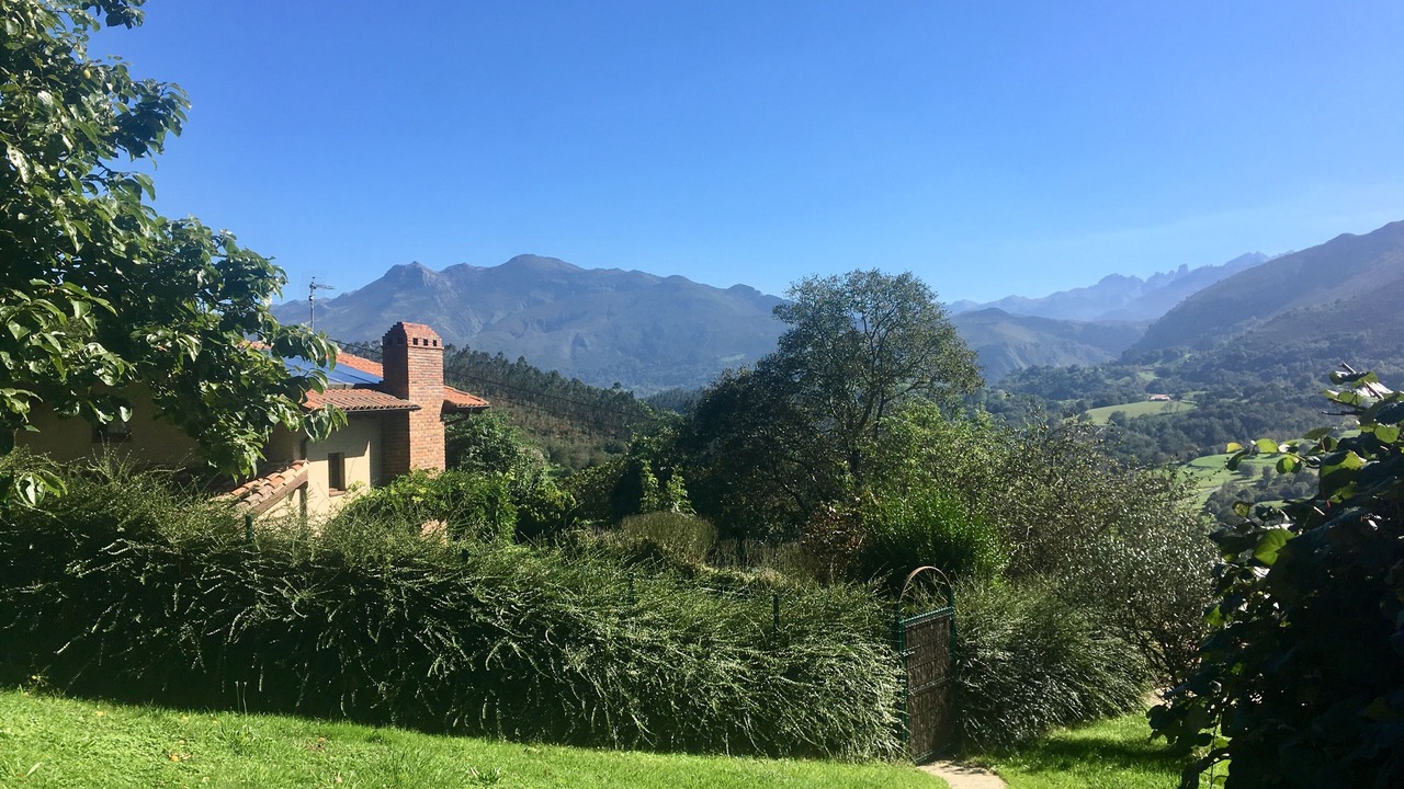 Photo of Outdoor in Ardisana