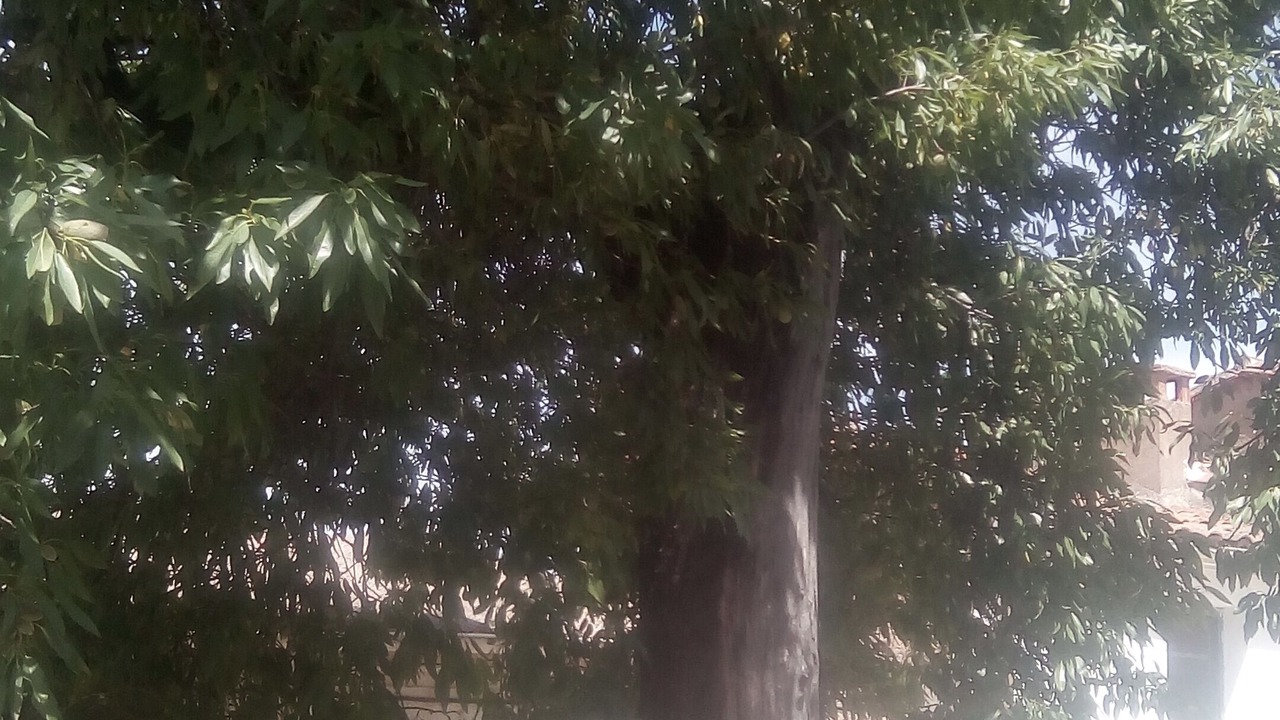 Photo of Outdoor in Prados de Armijo