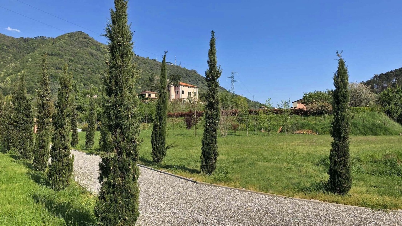 Photo of Outdoor in Ortonovo