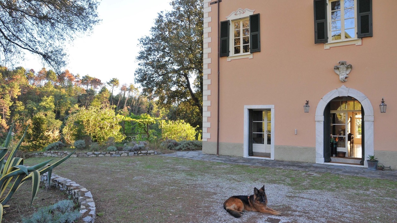 Photo of Outdoor in Ortonovo