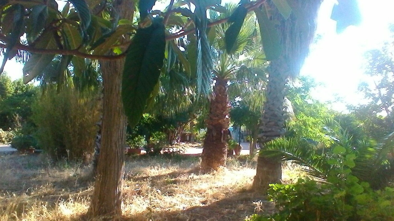 Photo of Outdoor in Modica