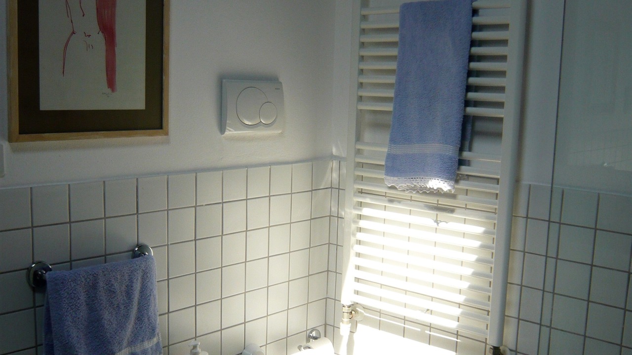Photo of Bathroom in Castel San Pietro Terme