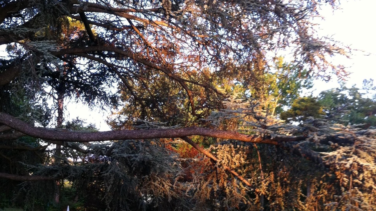 Photo of Outdoor in Castel San Pietro Terme