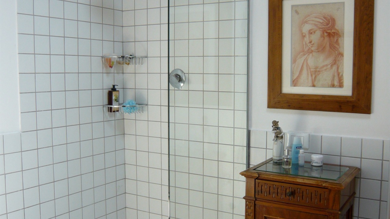 Photo of Bathroom in Castel San Pietro Terme